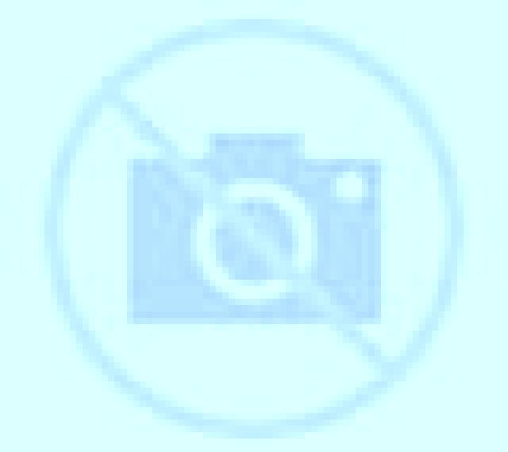 Isabela 3 Escalona escort