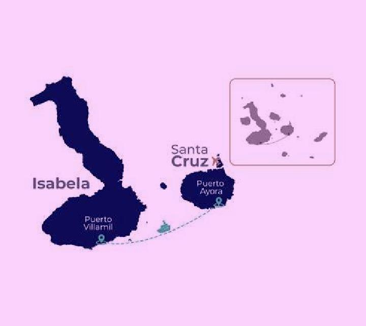 Isabela Santa Cruz escort