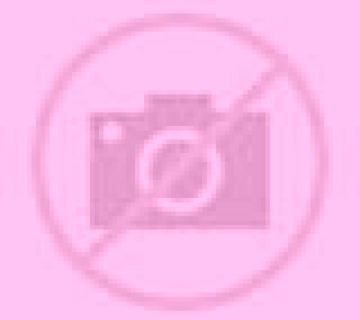 Isabella Los Silos escort
