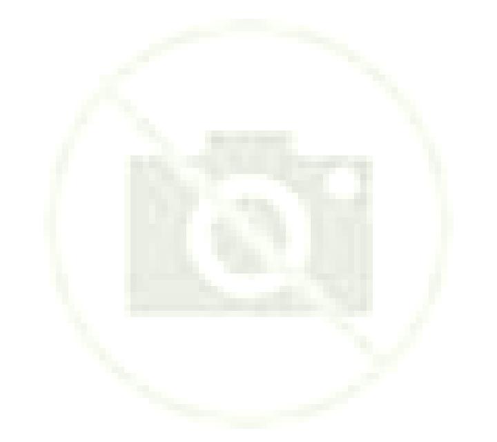 Josefina Castellanos de Zapardiel escort