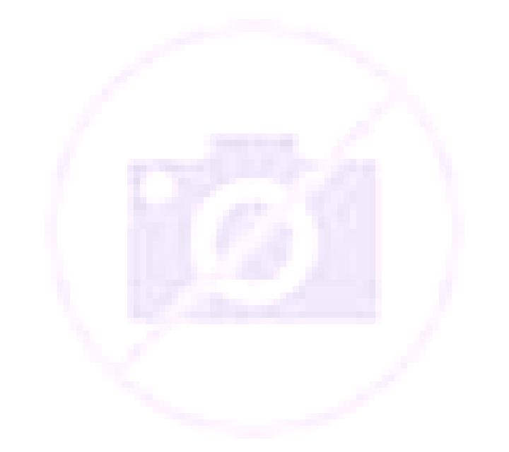 Julia 2 Tolox escort