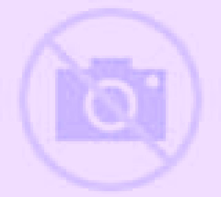Julia 3 Alfes escort