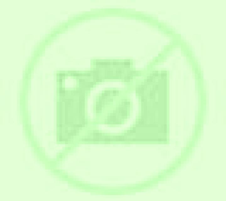 Julia 3 Cuenca de Campos escort