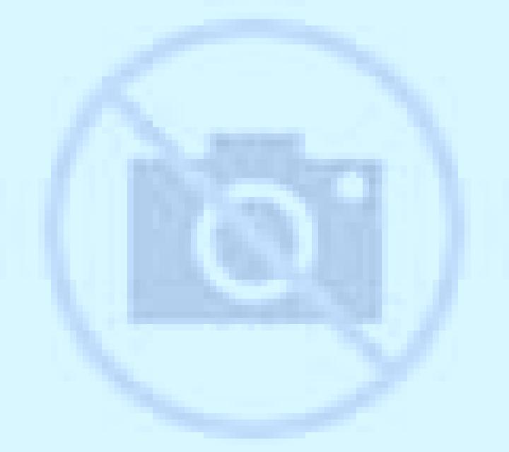 Katia Canizal escort