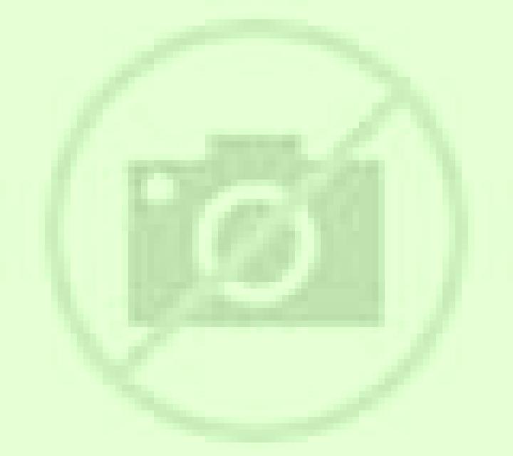 Katia Escucha escort