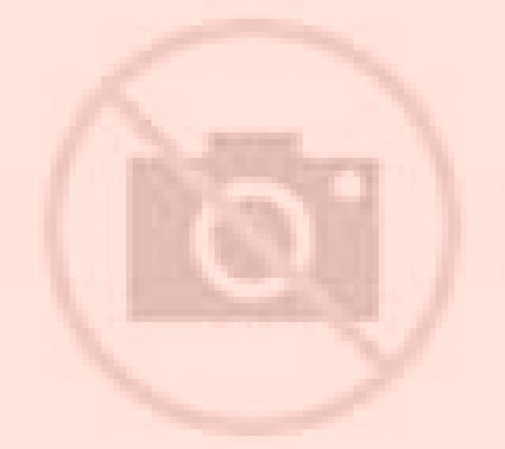 Lola Santa Maria de la Alameda escort