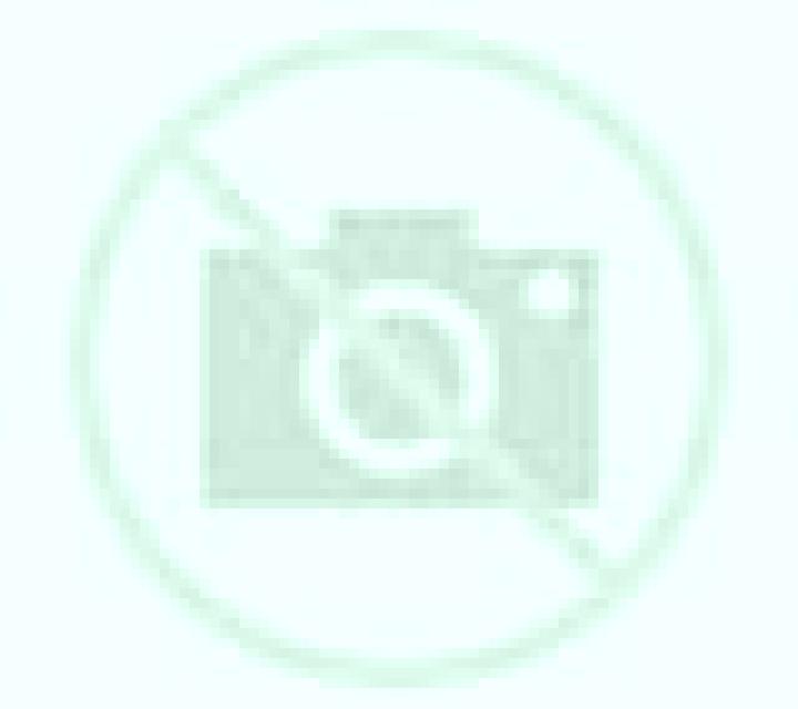 Lorena Carnota escort
