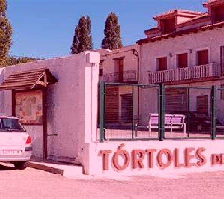 Malena Tortoles del Esgueva escort