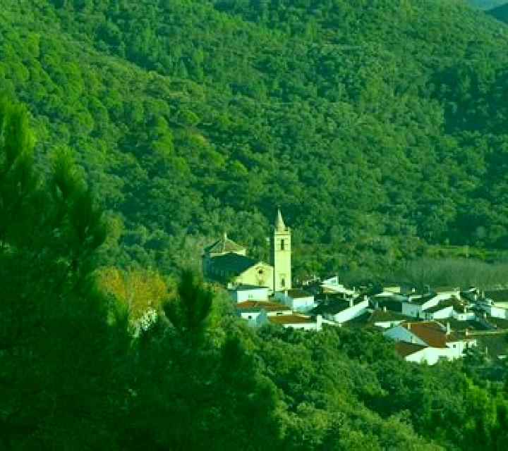 Marta 3 Ribarroja del Turia escort