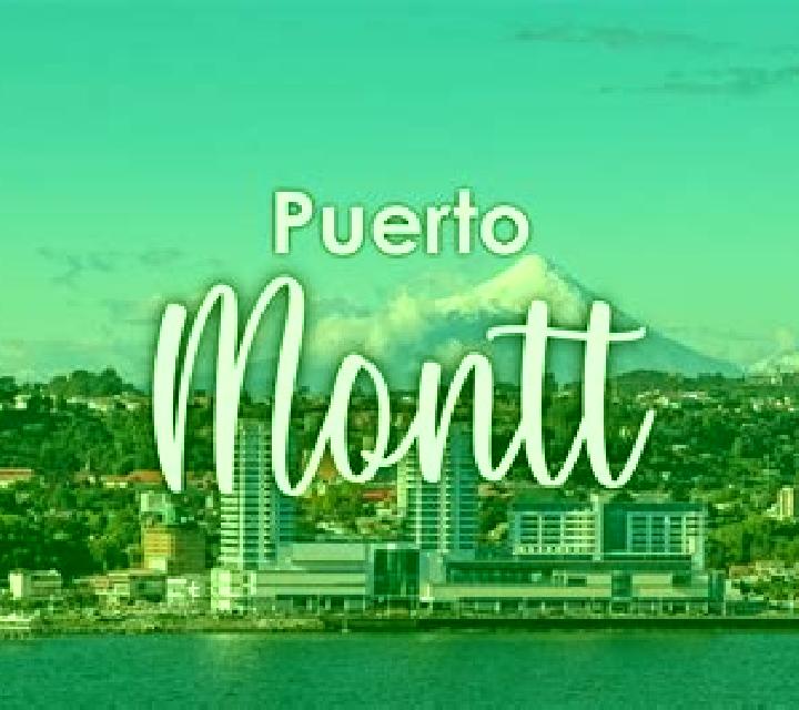 Martina Javier escort