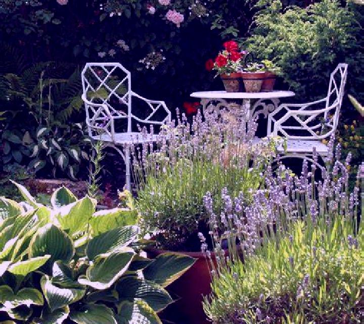 Nadia 3 Belvis de la Jara escort