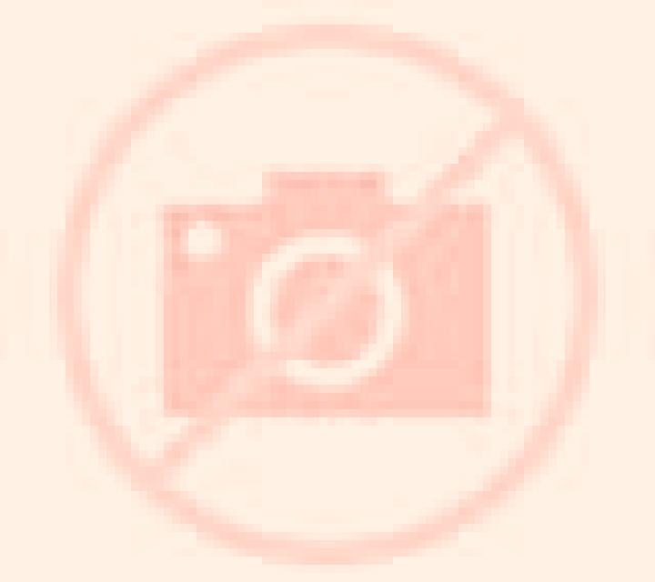 Nadia Arges escort