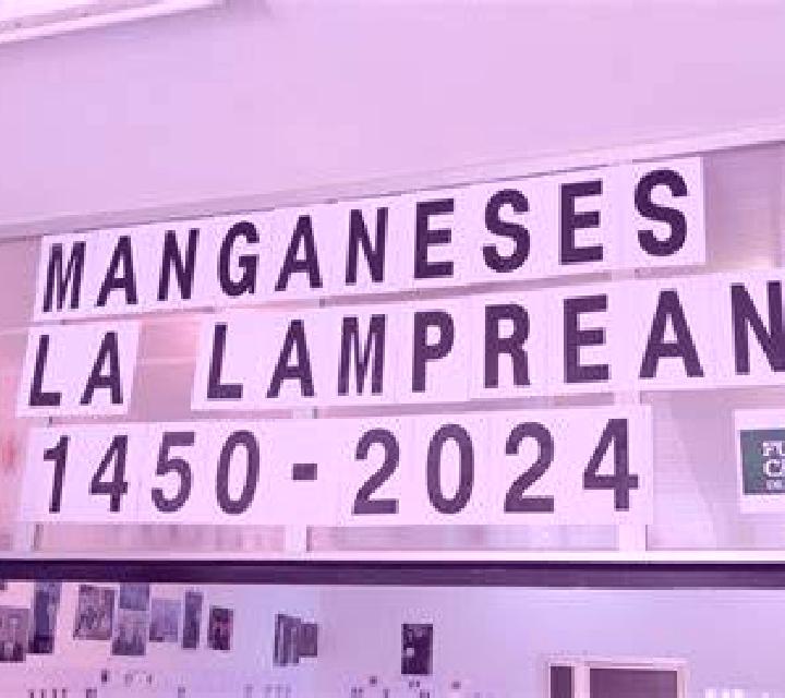 Nadia Manganeses de la Lampreana escort
