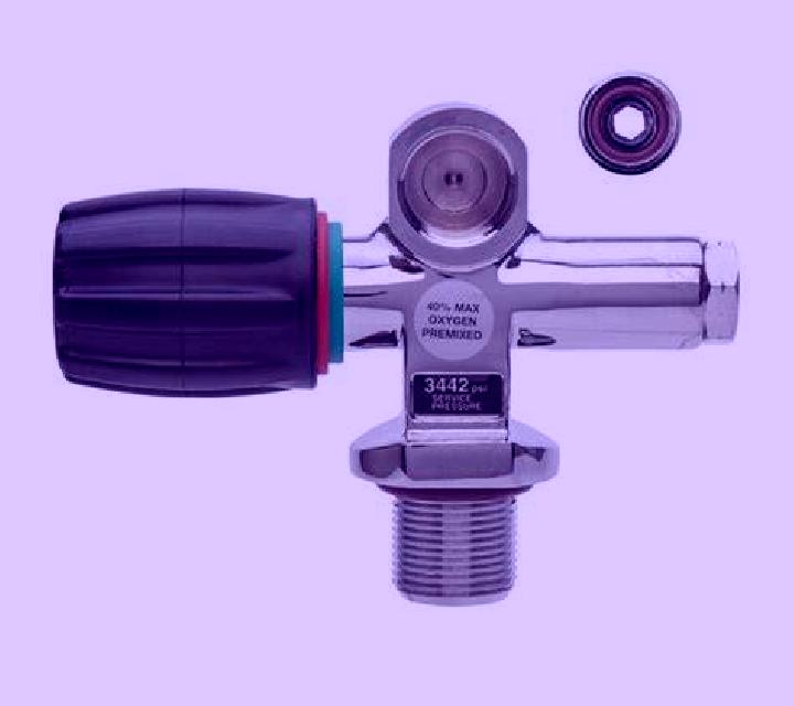 Nadia Vilafranca de Bonany escort