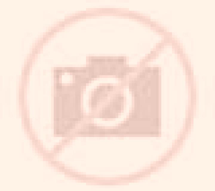 Natalia L Enova escort