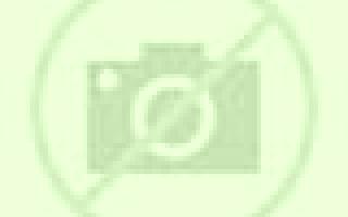 Noa 2 Barlovento escort