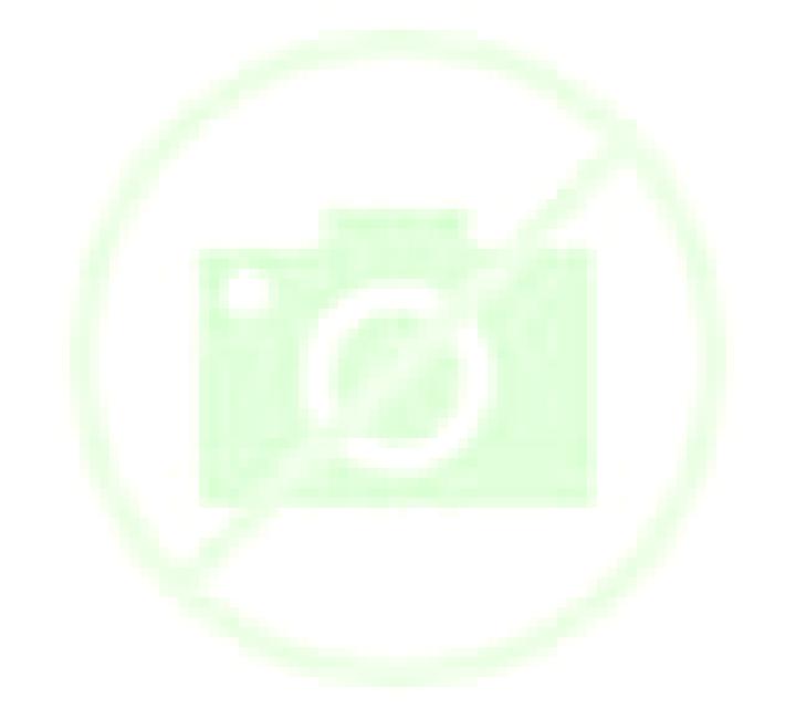 Noa 2 Revilla de Collazos escort