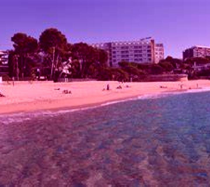 Noa 3 La Mata escort