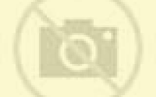 Noelia 2 Montan escort