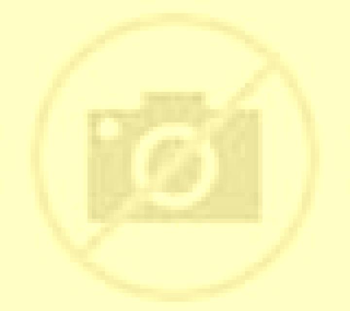 Noelia 3 Almendralejo escort