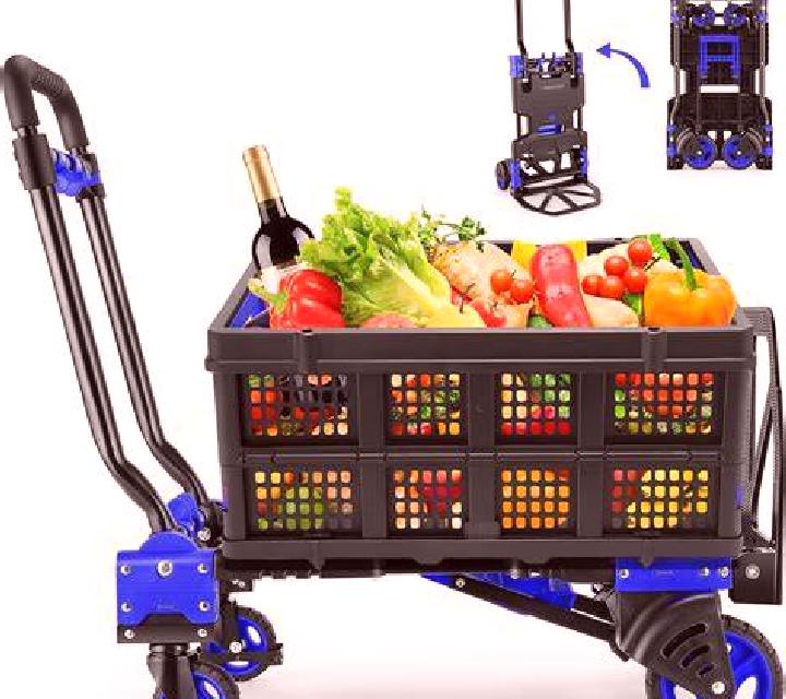 Noelia Murias de Paredes escort