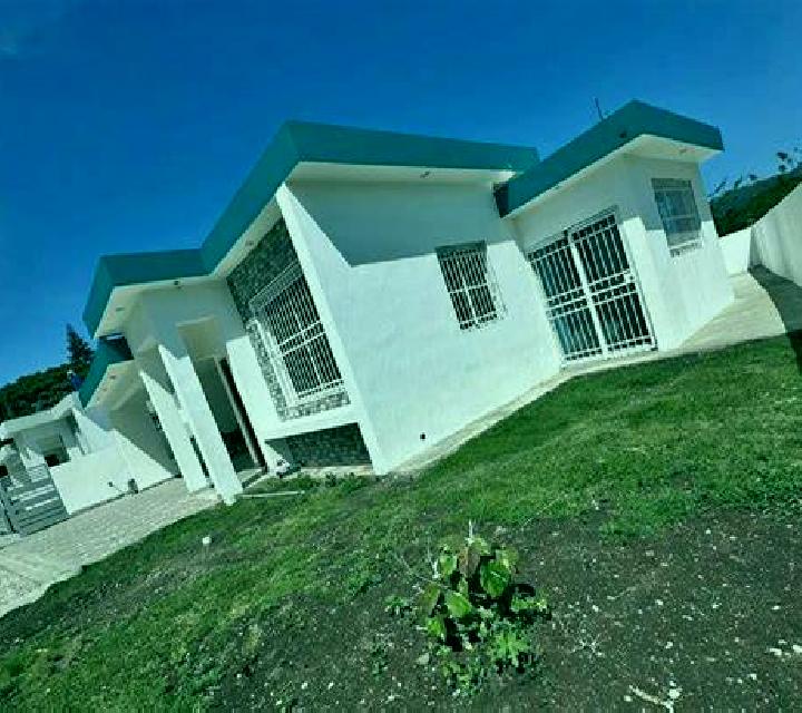 Noelia Torrecilla de Alcaniz escort