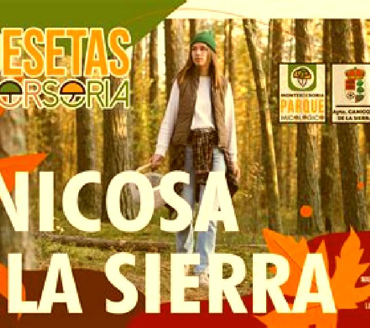 Nora 2 Canizar del Olivar escort