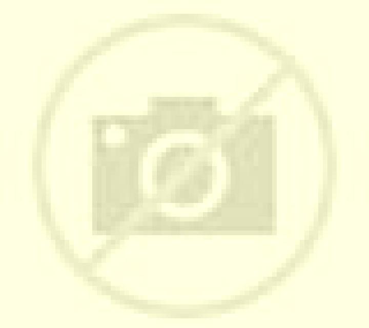 Nora 2 Vallecillo escort