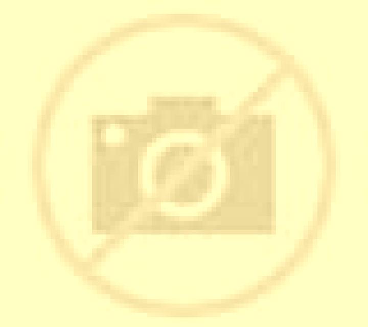 Nora Calvos escort