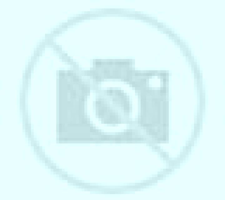 Olivia Bailen escort