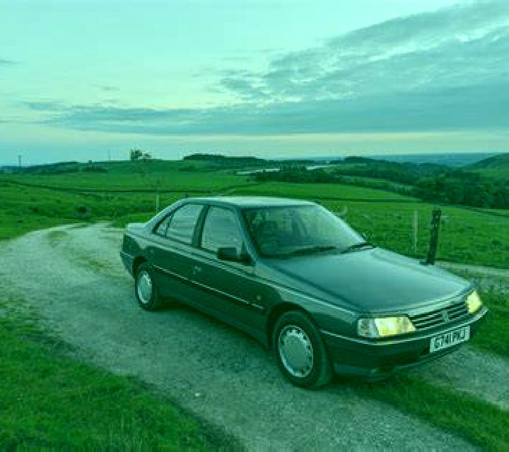 Paloma 2 Alcollarin escort