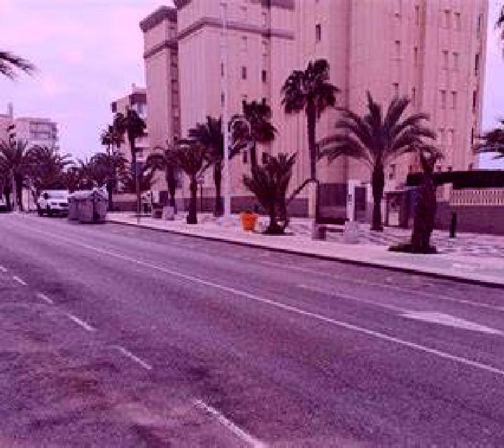 Paloma 2 Carrias escort