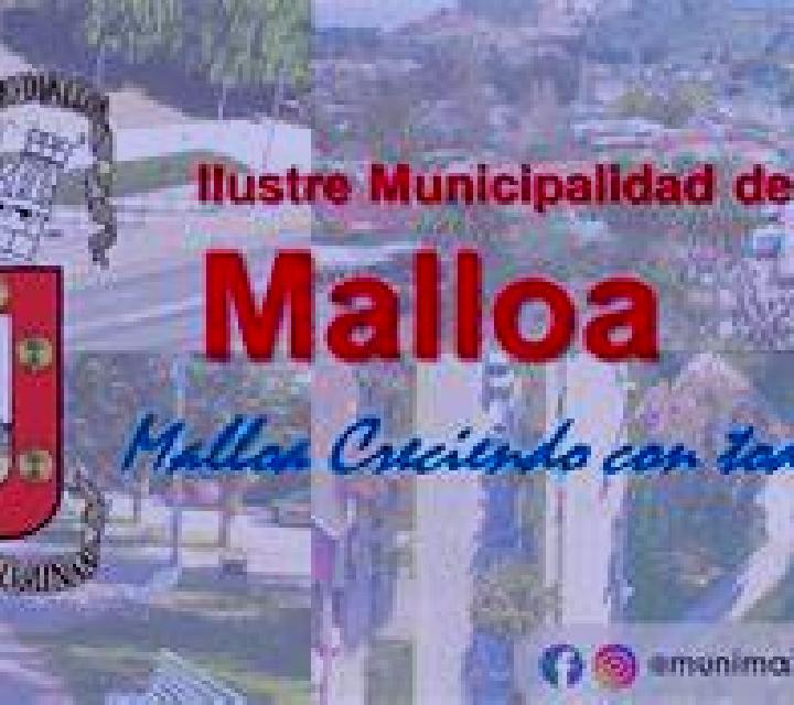 Paloma 2 Castellar de la Muela escort