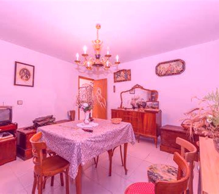 Paloma 2 Malaga escort