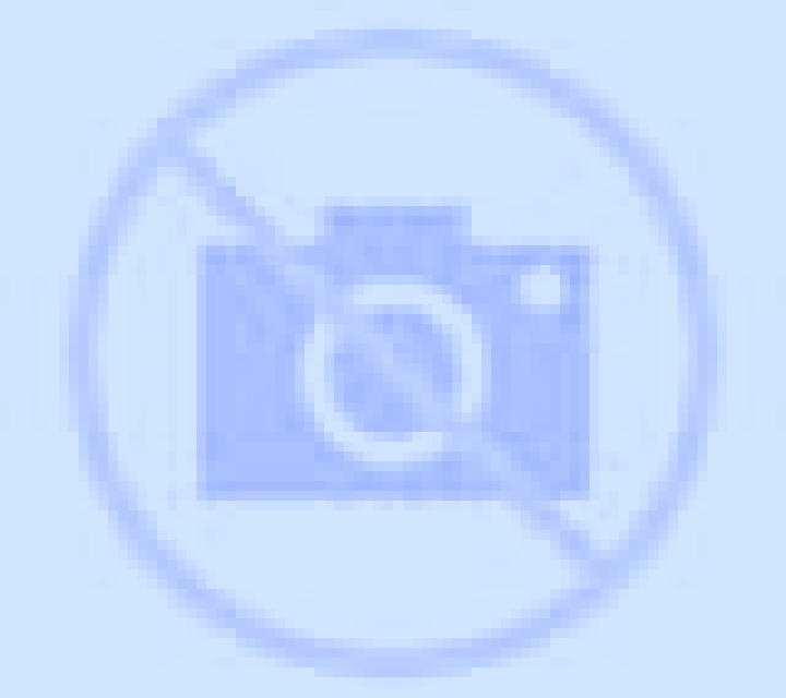Paloma Massanes escort