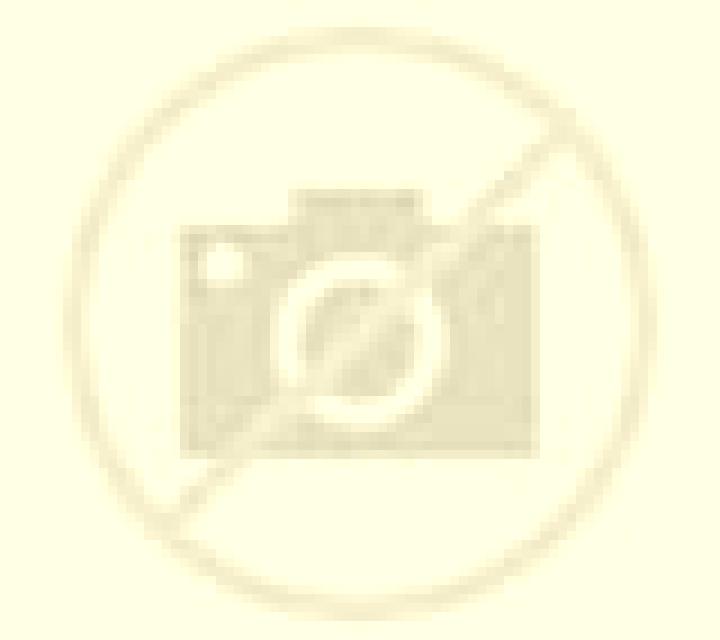 Patricia Madrigalejo escort