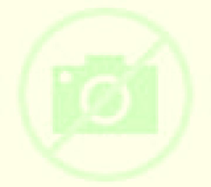 Paula Gainza escort