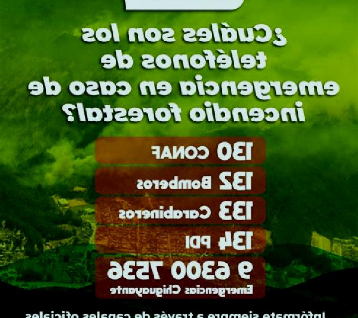 Paula Polenino escort