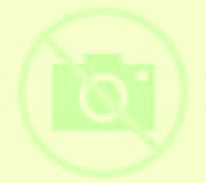 Regina 2 Ripoll escort