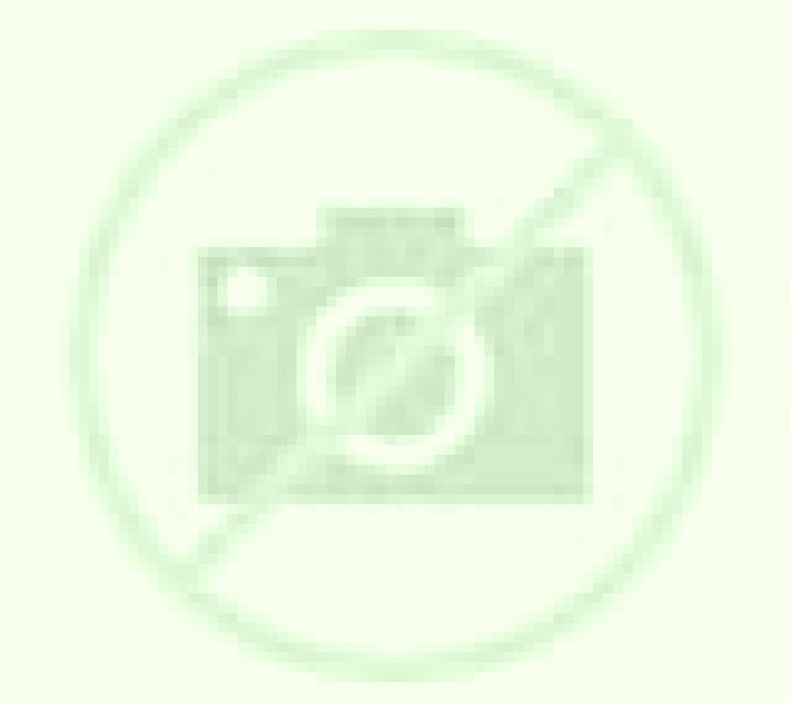 Regina 3 Dozon escort
