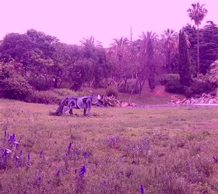Regina 3 Pulgar escort