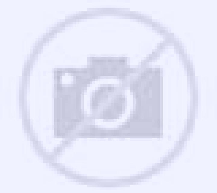 Regina Alconchel de Ariza escort