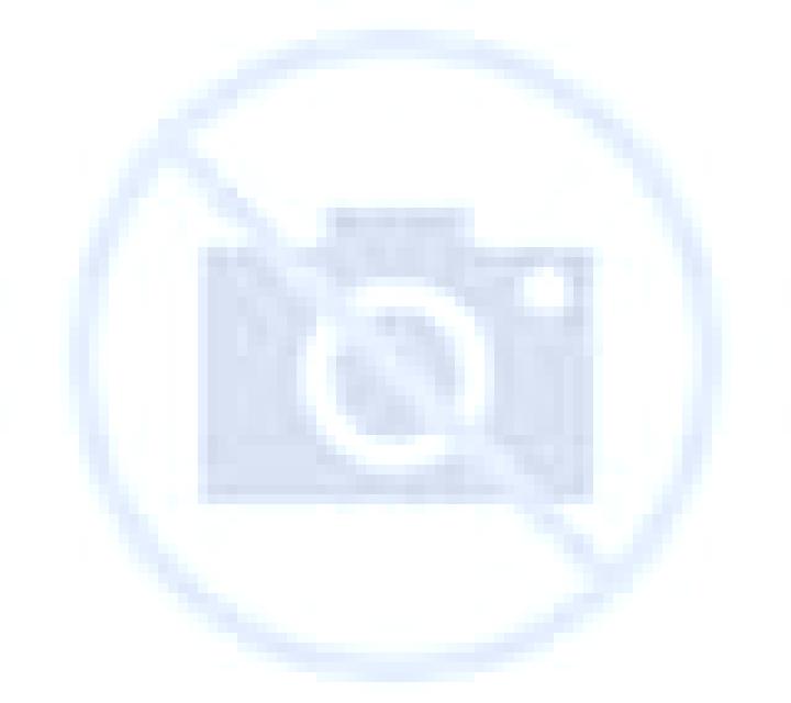 Renata Algerri escort