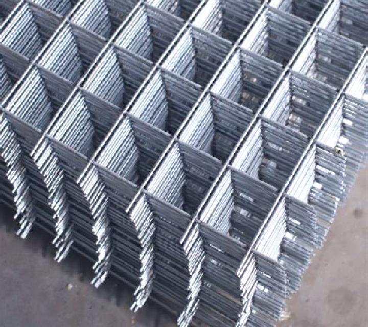 Renata Begonte escort