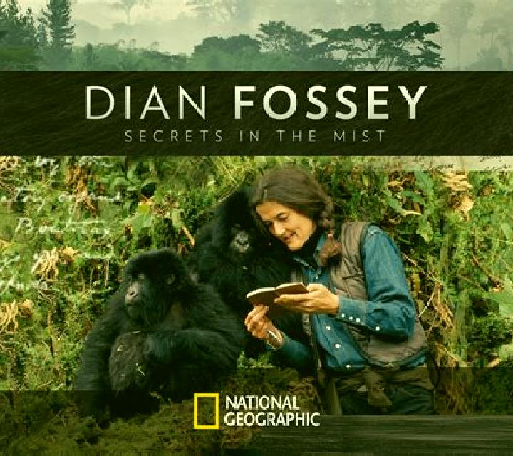 Renata Carrascal del Rio escort