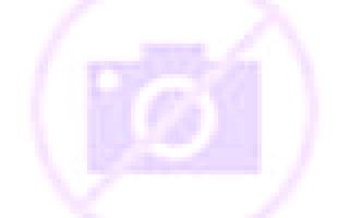 Renata Leache escort