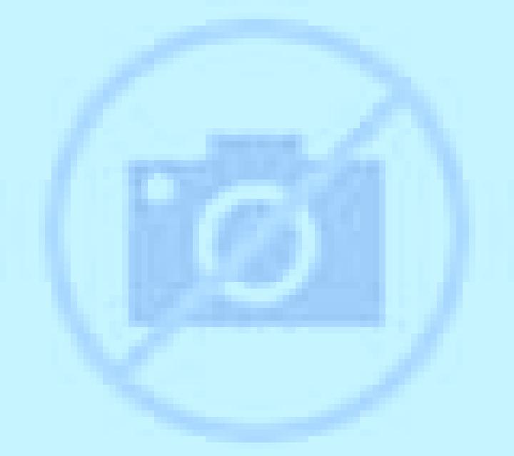Renata Navarres escort