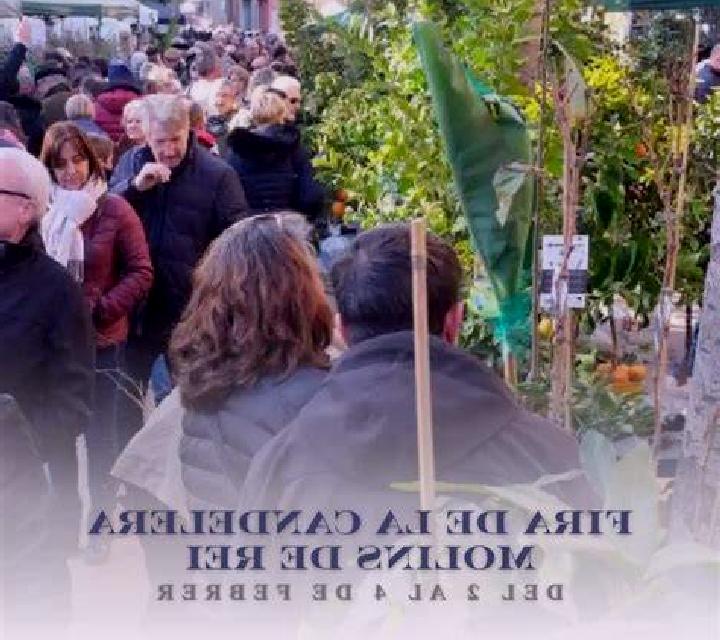 Rocío 2 Pedrosa del Paramo escort