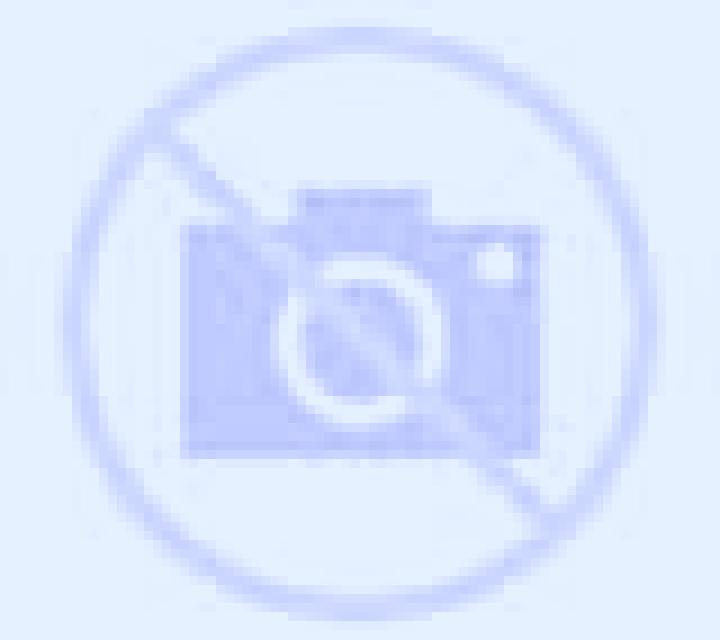 Rocío 2 Villodre escort