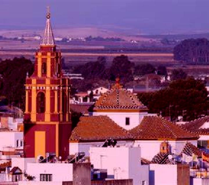 Rocío 3 Morille escort